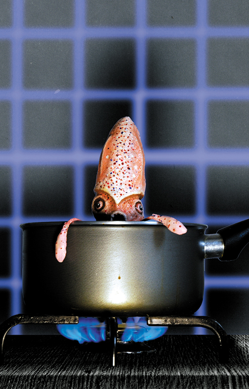 Neil Hughes Puppet Illustration | Stir Fry