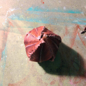 Neil Hughes Puppet Illustration | Chalotte Animation